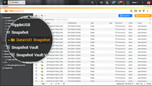 Snapshots_FS